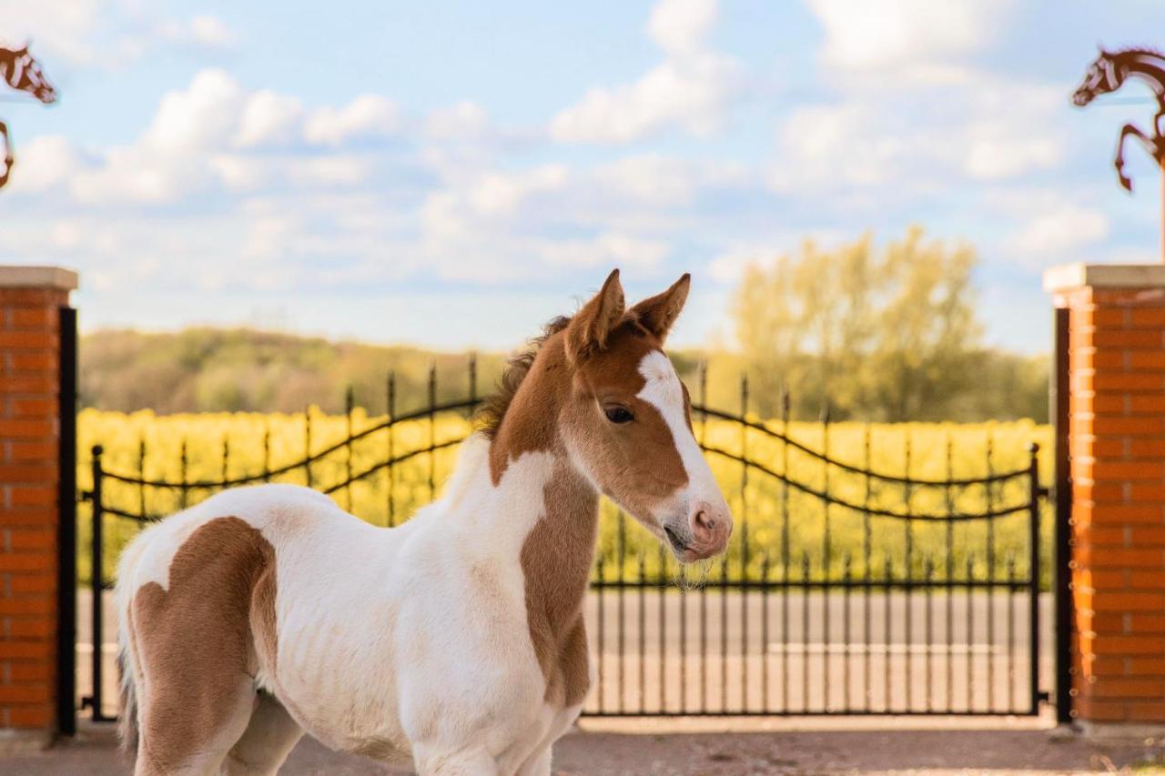 Dorisberg B&B - The Stables Loberod Dış mekan fotoğraf